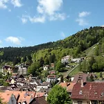 Gaestehaus Schmid-lopez 3* Bad Wildbad