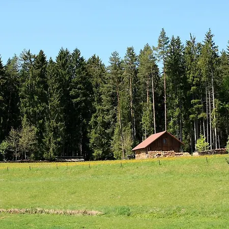 Gaestehaus Schmid-lopez Gasthuis Bad Wildbad