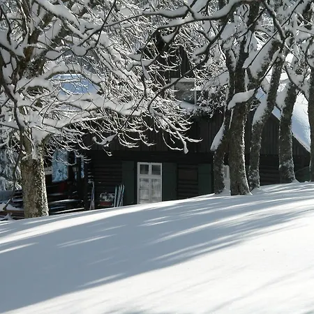 Pensión Gaestehaus Schmid-lopez Bad Wildbad