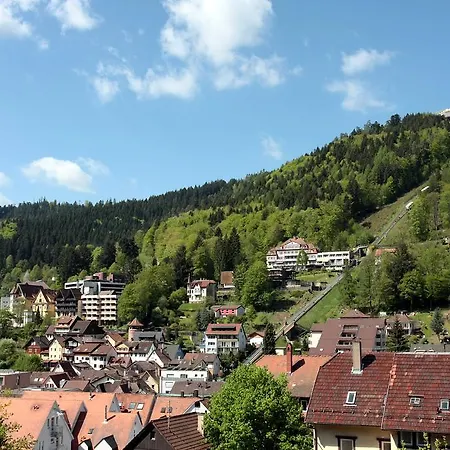 Gaestehaus Schmid-lopez 3* Bad Wildbad