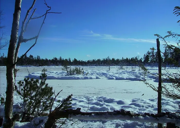 Casa de hóspedes Gaestehaus Schmid-lopez Bad Wildbad