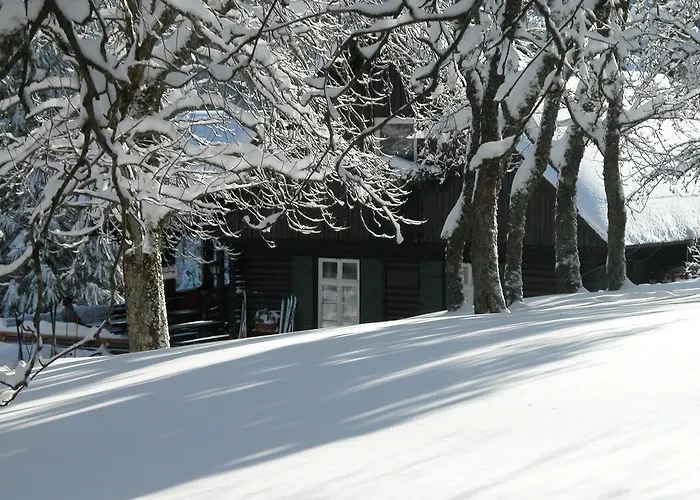Casa de hóspedes Gaestehaus Schmid-lopez Bad Wildbad