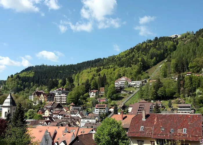 Gaestehaus Schmid-lopez 3* Bad Wildbad